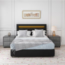 Queen Size Bed Frame with LED Lights USB Charging Station Black Textured Paint Bed Frame Black