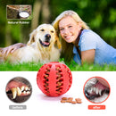 Interactive Rubber Balls For Pet Play Toy