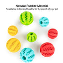 Interactive Rubber Balls For Pet Play Toy