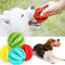 Interactive Rubber Balls For Pet Play Toy