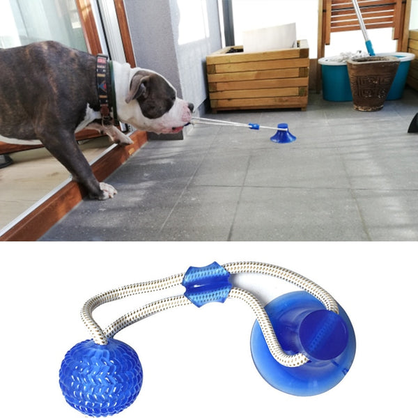 Tooth Cleaning Interactive Suction Cup