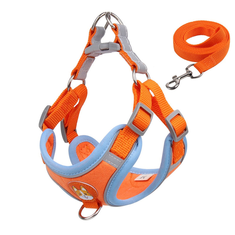 Adjustable Pet Harness and Leash