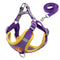 Adjustable Pet Harness and Leash