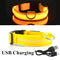 USB Rechargeable LED Glowing Collar