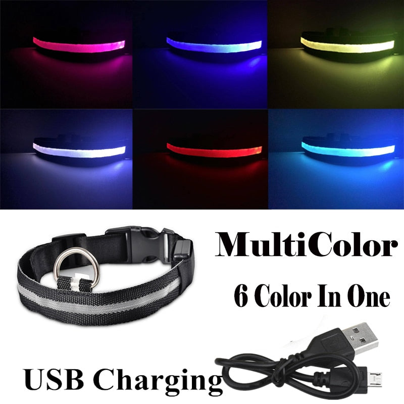 USB Rechargeable LED Glowing Collar