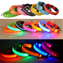 USB Rechargeable LED Glowing Collar