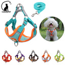 Adjustable Pet Harness and Leash