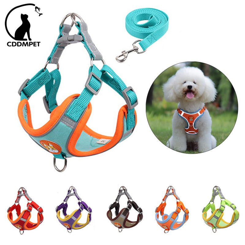 Adjustable Pet Harness and Leash