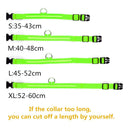 USB Rechargeable LED Glowing Collar