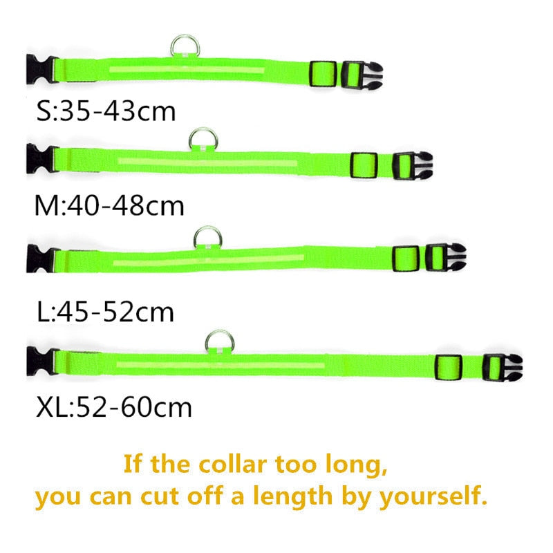 USB Rechargeable LED Glowing Collar