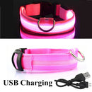 USB Rechargeable LED Glowing Collar