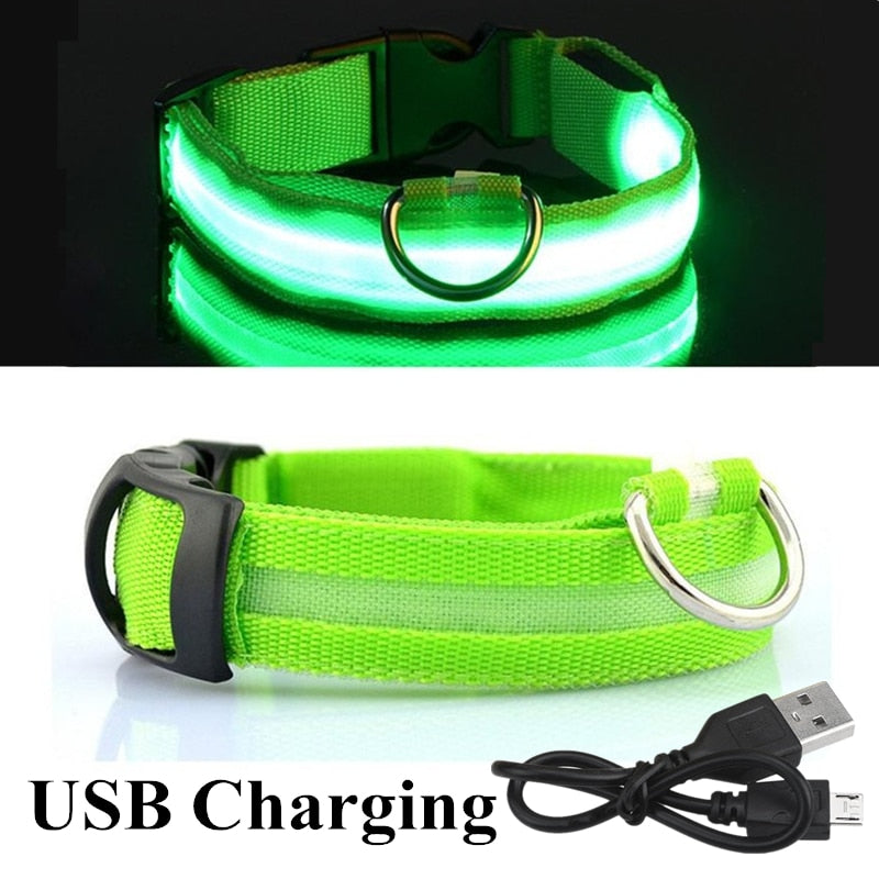 USB Rechargeable LED Glowing Collar