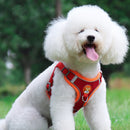 Adjustable Pet Harness and Leash