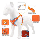 Adjustable Pet Harness and Leash