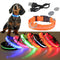 USB Rechargeable LED Glowing Collar