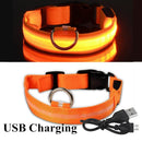 USB Rechargeable LED Glowing Collar