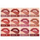 Dual Head 12 Colors Lips Gloss