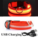 USB Rechargeable LED Glowing Collar