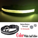 USB Rechargeable LED Glowing Collar