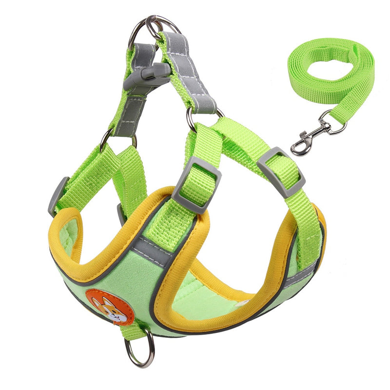 Adjustable Pet Harness and Leash