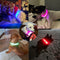 USB Rechargeable LED Glowing Collar